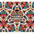 A Song Kaleidoscope