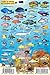 Turks & Caicos Coral Reef Creatures Guide Franko Maps Laminated Fish Card 4