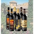 Spanisches Rotwein Probierpaket (6er Karton Wein)