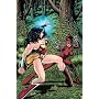 Manhunter Vol. 4: Unleashed (DC Comics)