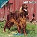 Irish Setter 2010 Wall Calendar #10046-10