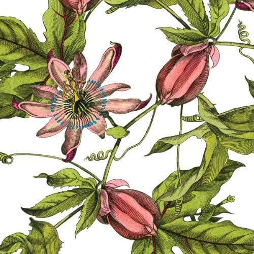 Caskata Studio C561400 20 Count Paper Cocktail Napkins, Pink Passion