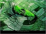 Island in the rice fields of Bali photographic art print 60x80cm by Yann Arthus-Bertrand