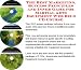 Search : The Best Marketing, Sucess Principles and Inner Game for Martial Arts Equipment Web Biz 3 CD Course