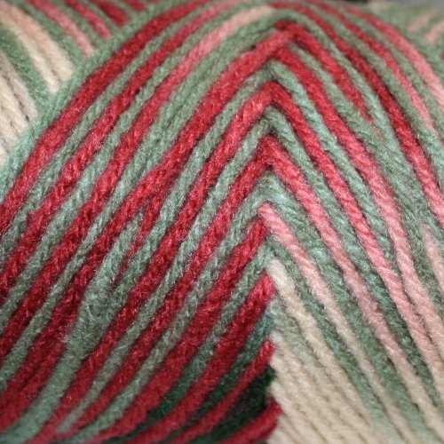 Red Heart Super Saver Yarn Holly & Ivy