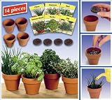 KITCHEN HERB SET (711)- GROW HEALTHY, DELICIOUS HERBS ON YOUR KITCHEN WINDOW! Outdoor Living