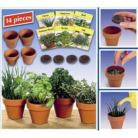 Kitchen Herb Set (711)- Grow healthy, delicious herbs on your kitchen window!