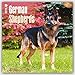 German Shepherds - 2016 18 Month Calendar 12 x 12in