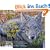 Auge in Auge mit dem Wolf: 20 Jahre unterwegs mit frei lebenden W�lfen