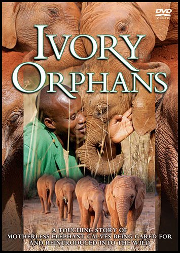 Ivory Orphans [DVD]