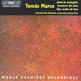 Marco/Archangel Tree/Soul Concerto