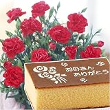 ���̓��M�t�g��J�[�l�[�V��������������J�X�e�[���Z�b�g�y���͂���5��8��~11���z