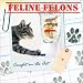 Feline Felons: Caught in the Act