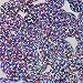 Round Flat Sequin 15mm Top Hole Light Lavender Hologram Glitter Sparkle. Couture Paillettes. Made in USA