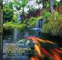 International Garden Photographer of the Year: Images of a Green Planet (International Garden Photographer of the Year Book)