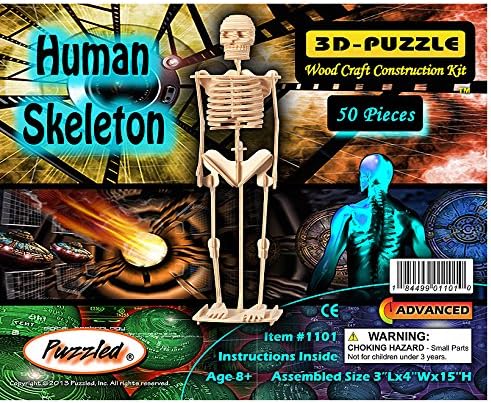 Wanmei Environmental Protection Body Framework Shape 3D Puzzle Child Kids Toys