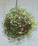 Vine Nesting Ball Birdhouses (set of 2)