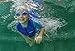 Cressi Kids Swimsuit Short Sleeve, Blue/Azure, 2XL [DUPLICATE[