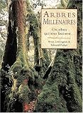 Arbres millenaires : Ces arbres qui nous fascinent...