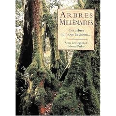 Arbres millenaires : Ces arbres qui nous fascinent...