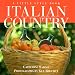 Book Italian Country: A Little Style Book