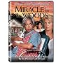 Miracle in the Woods