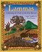 Lammas: Celebrating the Fruits of the First Harvest