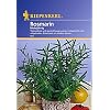 Rosmarin mehrj�hrig