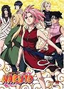 Naruto: Girl Power Wall Scroll GE9798