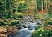 Forest Stream 278 Wall Mural