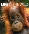 Life In The...