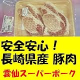 直売所販売用　九州長崎県産豚肉　雲仙スーパーポーク　ローストンカツ用　300g冷凍　日本テレビ『スッキリ』ご当地グルメ選手権優勝