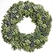 Succulent Wreath, 18
