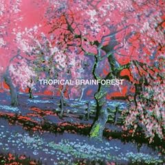 Tropical Brainforest