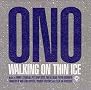 Walking on Thin Ice Walking on Thin Ice
