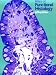 Books : Atlas of Functional Histology