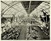 1893 Print Mammoth Conservatory Chicago World's Fair - Original Halftone Print