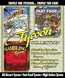 Tycoon 3 Pack Ski Resort Fast Food and Gambling Tycoon
