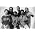 Thumbnail image of Grateful Dead