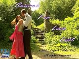 Search For Love Lost