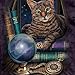 Cat, Crystal Ball, Timepiece Fortune Teller Lisa Parker T-Shirt