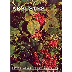 Arbustes, num�ro 45