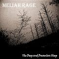The Deep and Dreamless Sleep