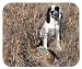 English Cocker Spaniel Mouse Pad