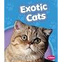 Exotic Cats (Pebble Books)