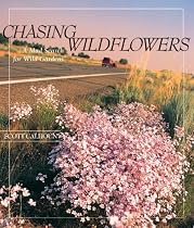 Chasing Wildflowers