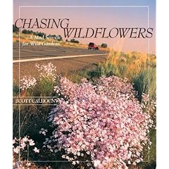 Chasing Wildflowers