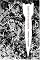 Gravitys Rainbow (Penguin Classics Deluxe Edition) by Thomas Pynchon