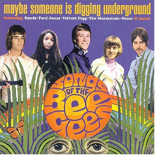 CD-Charts  Search : Maybe Someone Is Digging Underground: Songs of the Bee Gees