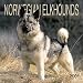 Norwegian Elkhounds 2001 Calendar